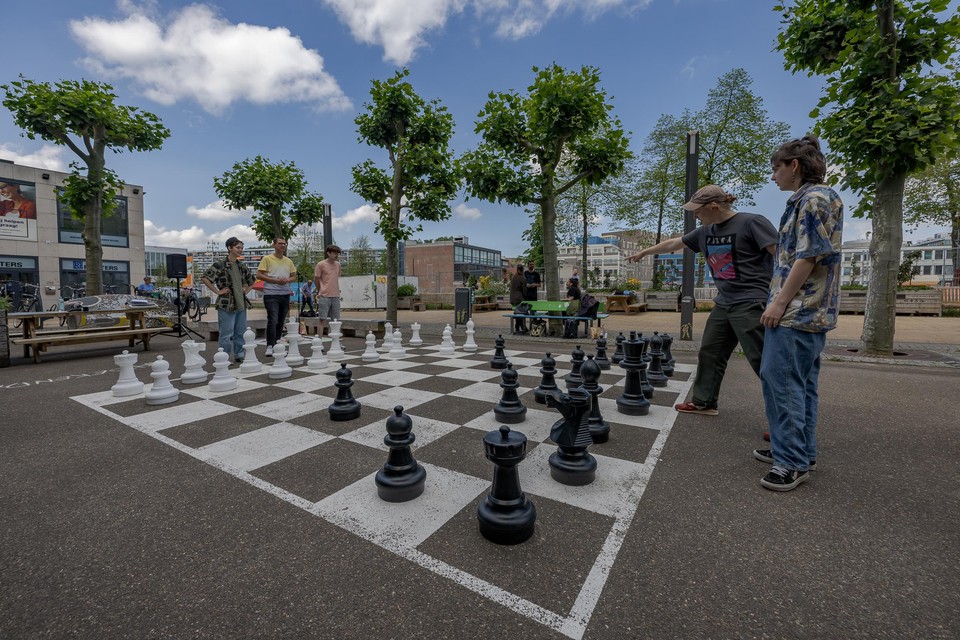 Belang Logisch Paard Parkstad en Maastricht kruisen de degens op het schaakbord, ... - De  Limburger Mobile