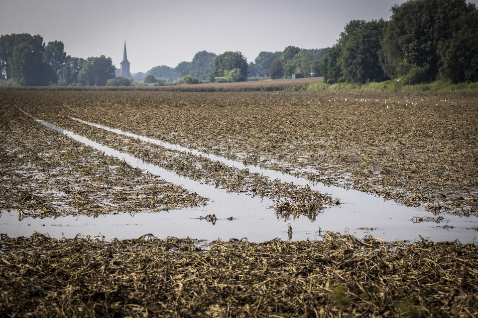 Ook boeren en tuinders kunnen vergoeding van schade als gevolg van het hoogwater aanvragen. 
